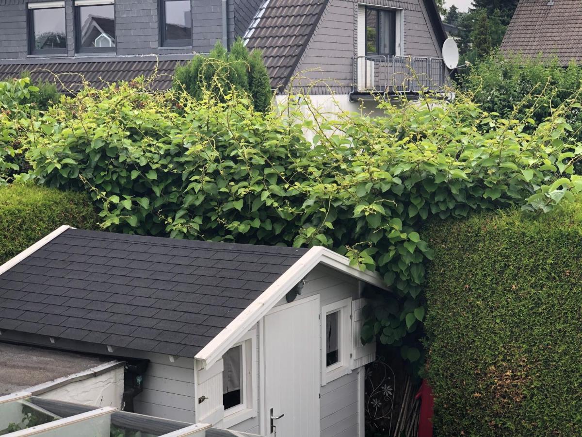 Bel Art Etage Mit Grossem Parkplatz Daire Haan Dış mekan fotoğraf